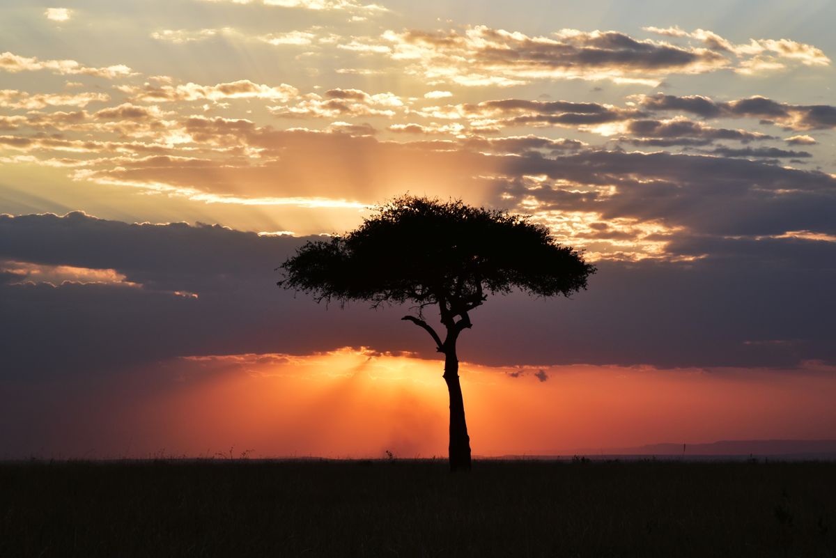 Maasai Mara