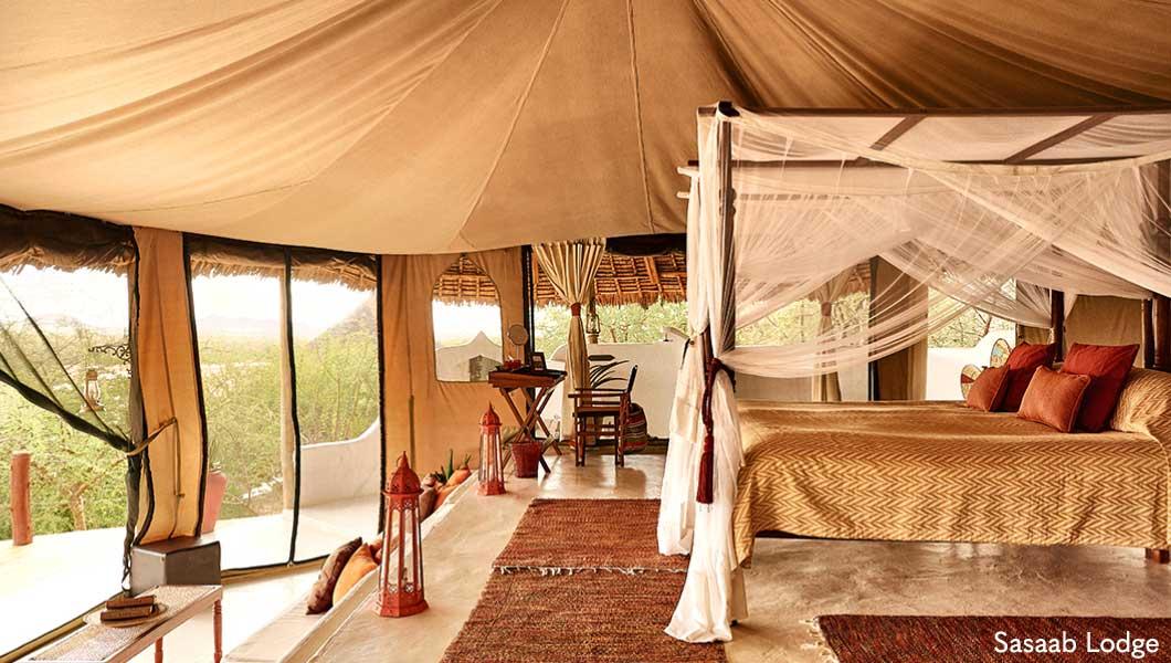 Sasaab Luxury Eco Lodge - Gallery
