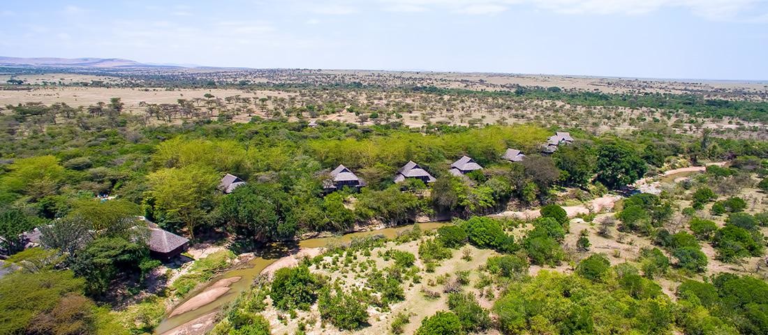 Mara Simba Lodge - Gallery