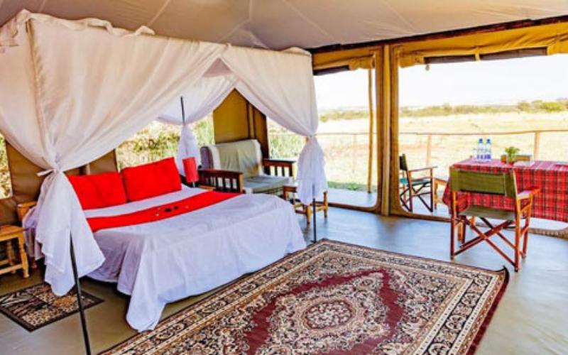 Zebra Plains Mara Camp - Gallery