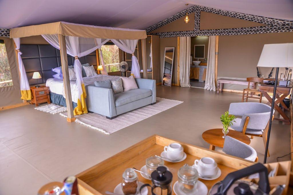 Zebra Plains Mara Camp - Gallery