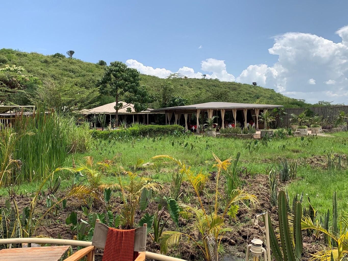 Zebra Plains Mara Camp - Gallery