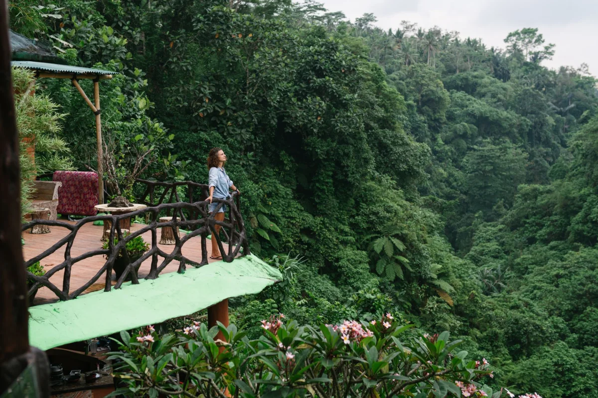 SANCTUARY GORILLA FOREST CAMP luxury lodge
