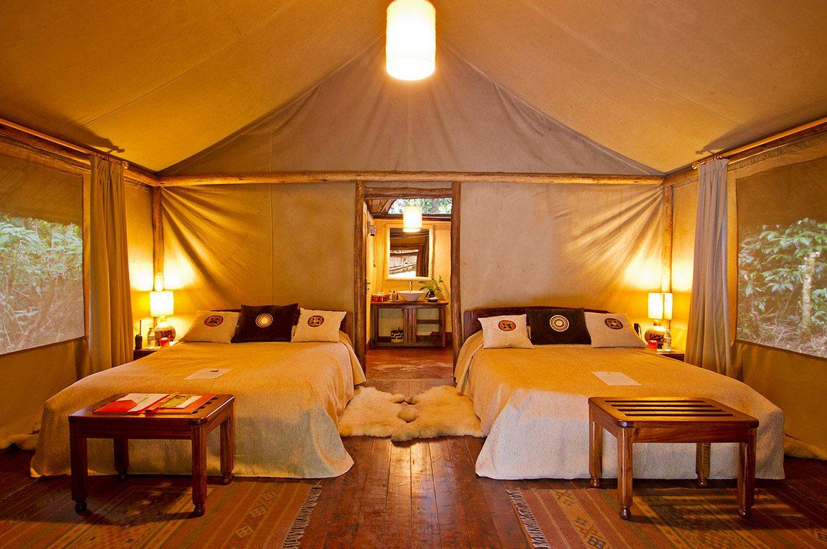 Sanctuary Gorilla Forest Camp - Gallery