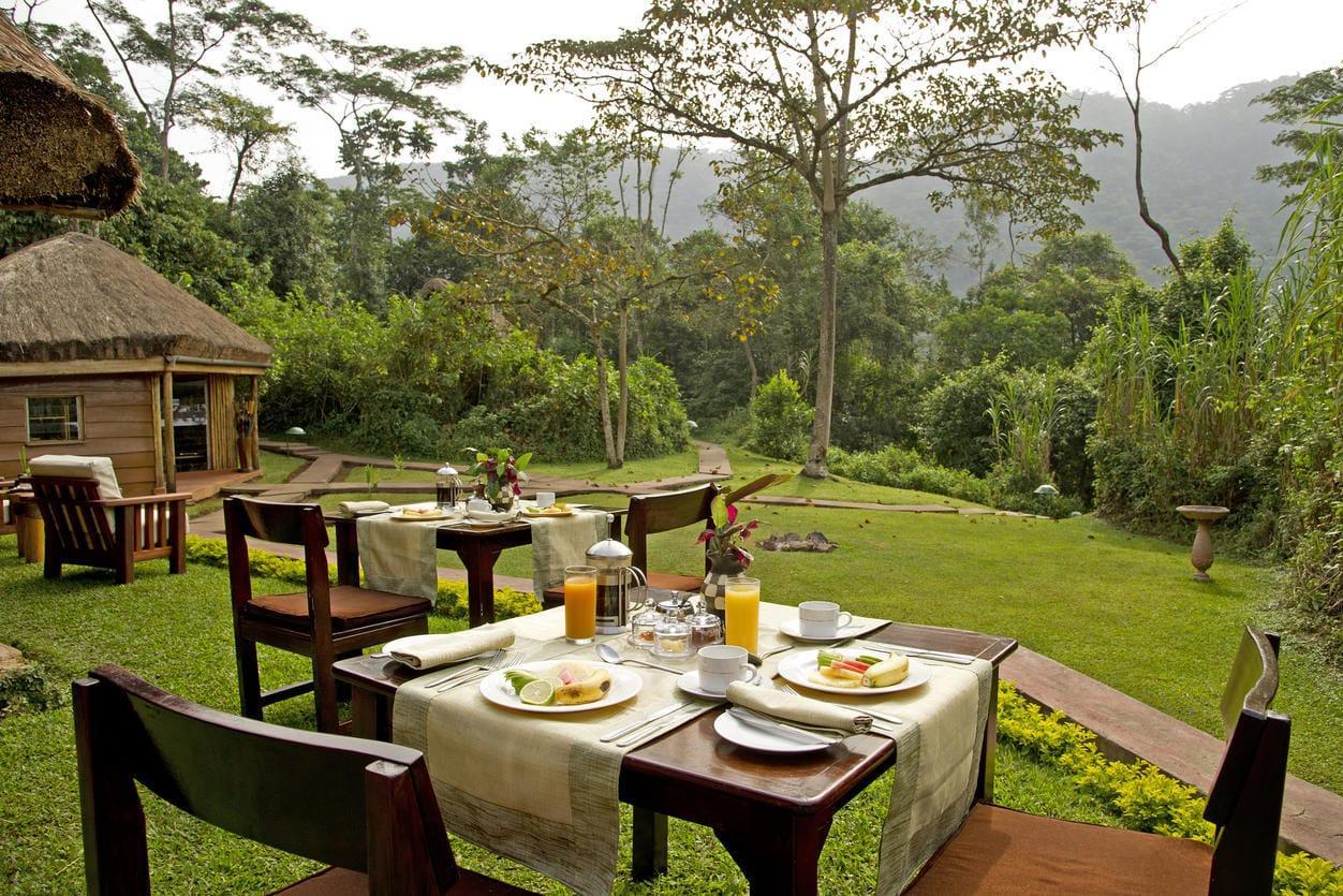 Sanctuary Gorilla Forest Camp - Gallery