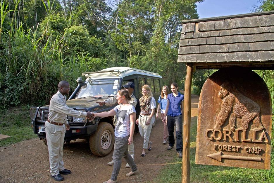 Sanctuary Gorilla Forest Camp - Gallery