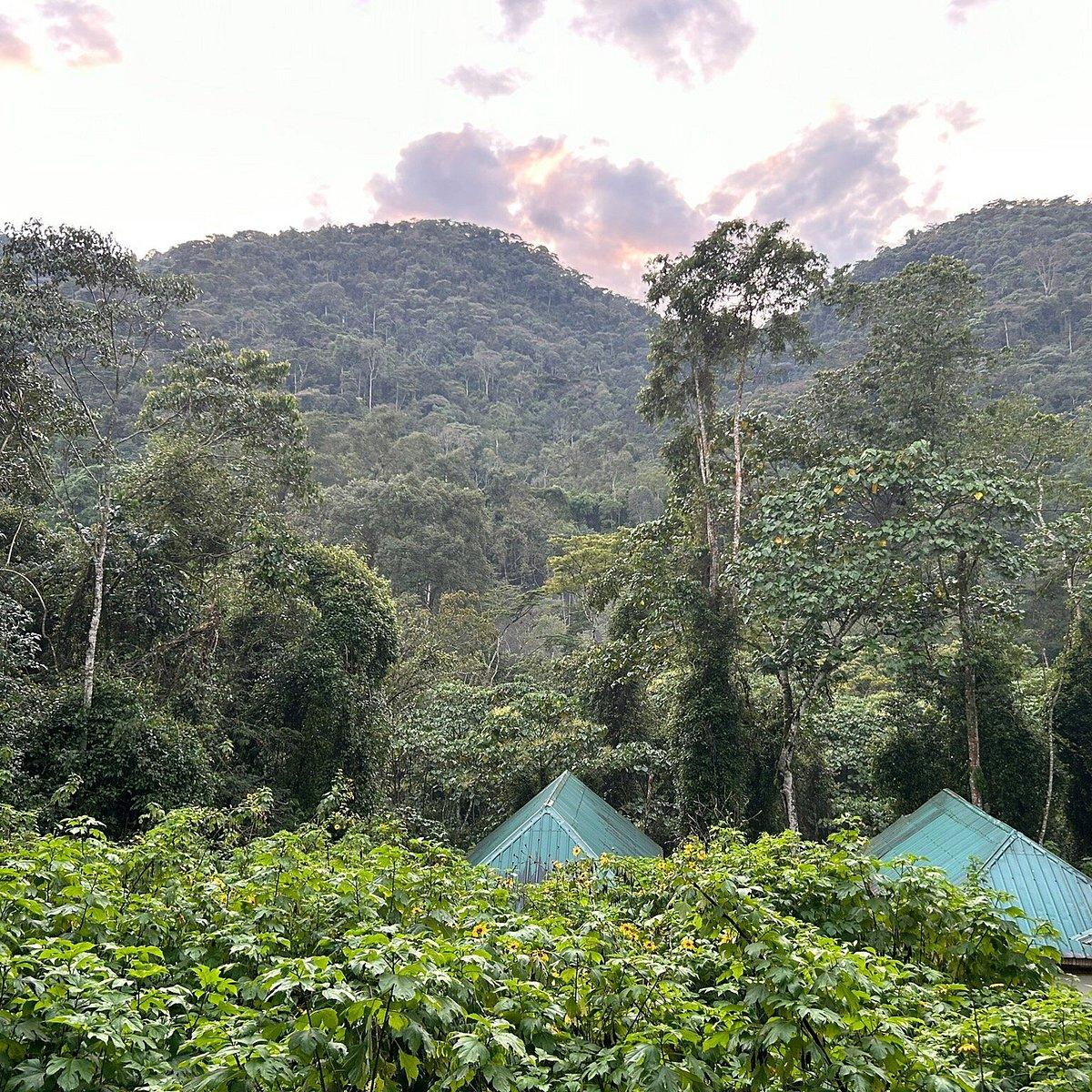 Buhoma Community Rest Camp - Gallery