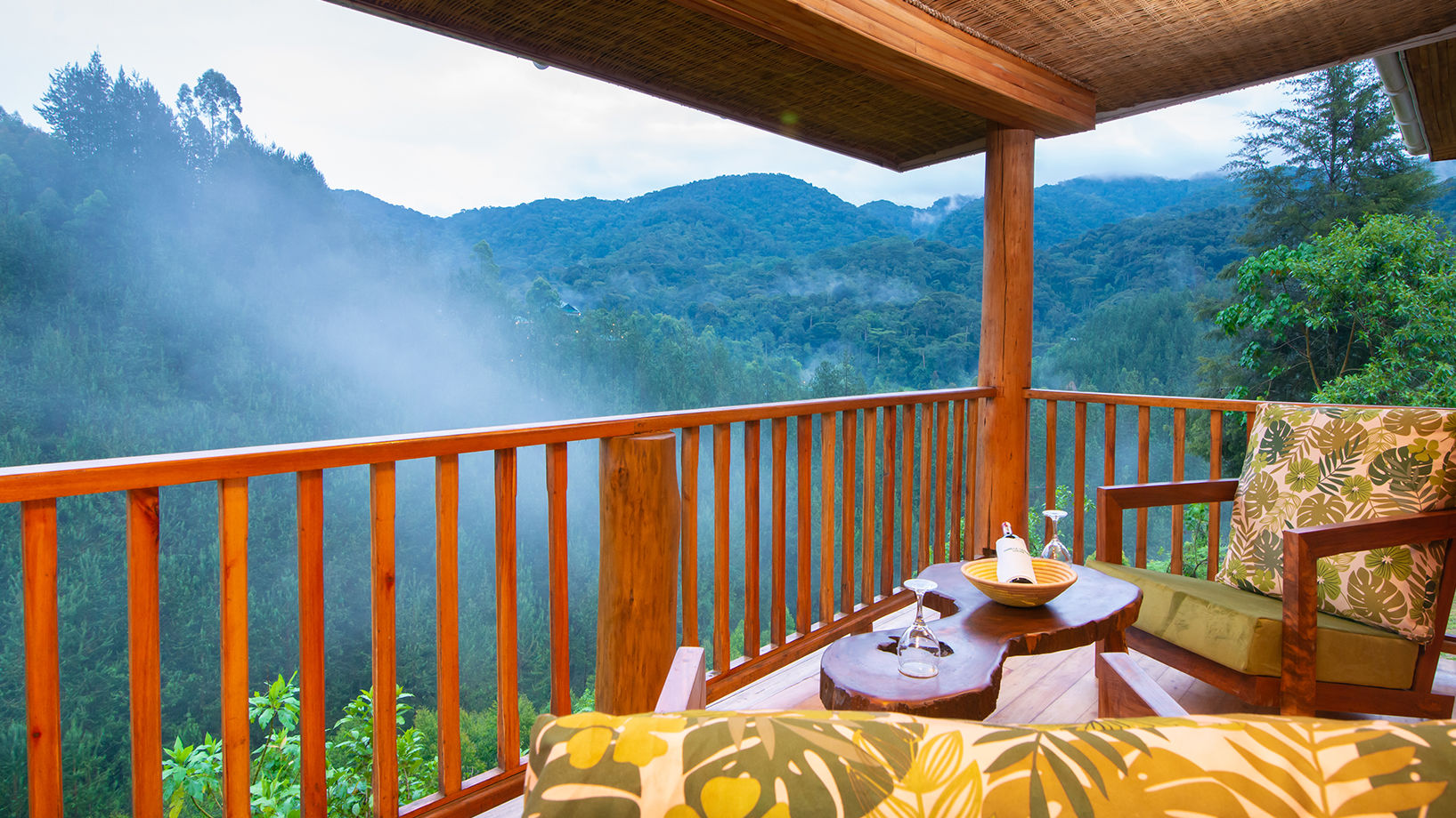 Gorilla Leisure Lodge - Gallery