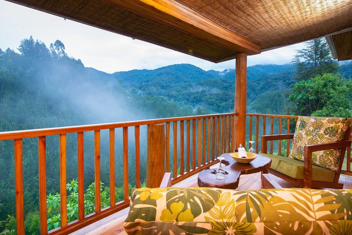 Gorilla Leisure Lodge - Gallery