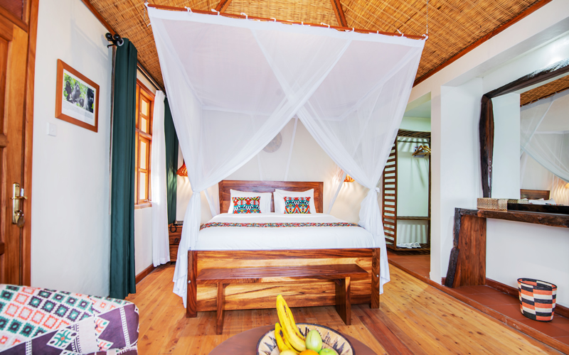 Gorilla Leisure Lodge - Gallery
