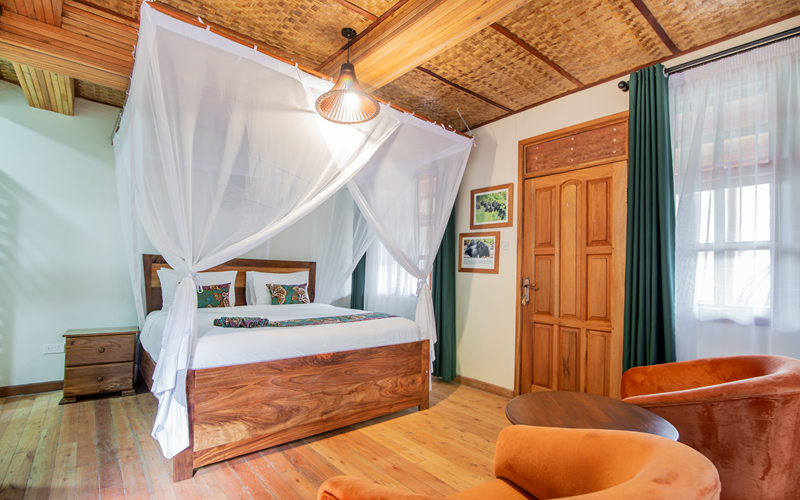 Gorilla Leisure Lodge - Gallery
