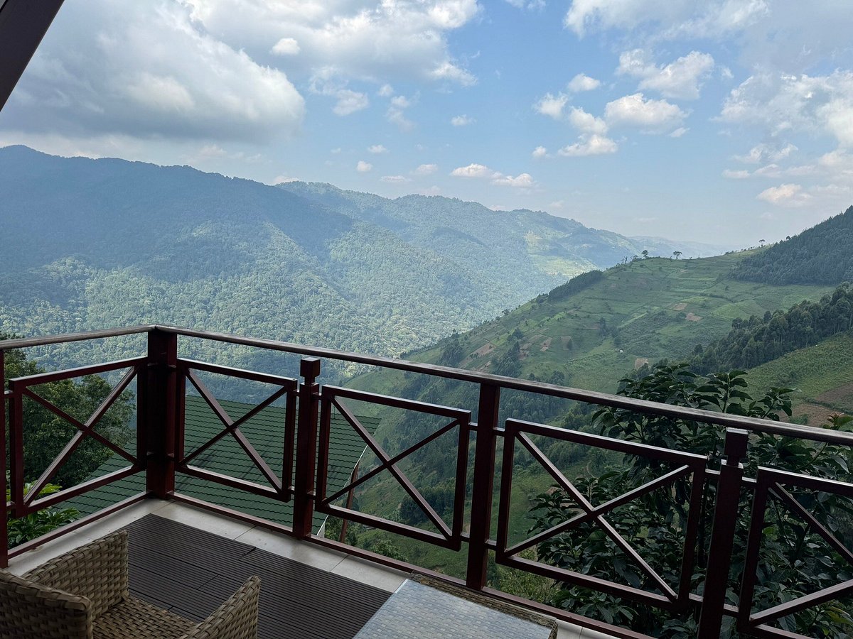 Gorilla Heights Lodge - Gallery