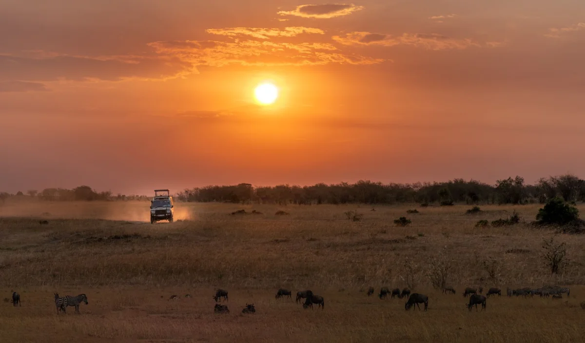 ZANZIBAR safari destination