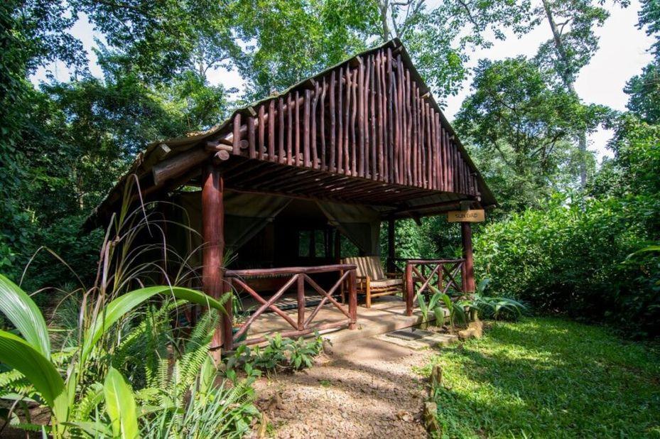 Kibale Forest Camp - Gallery