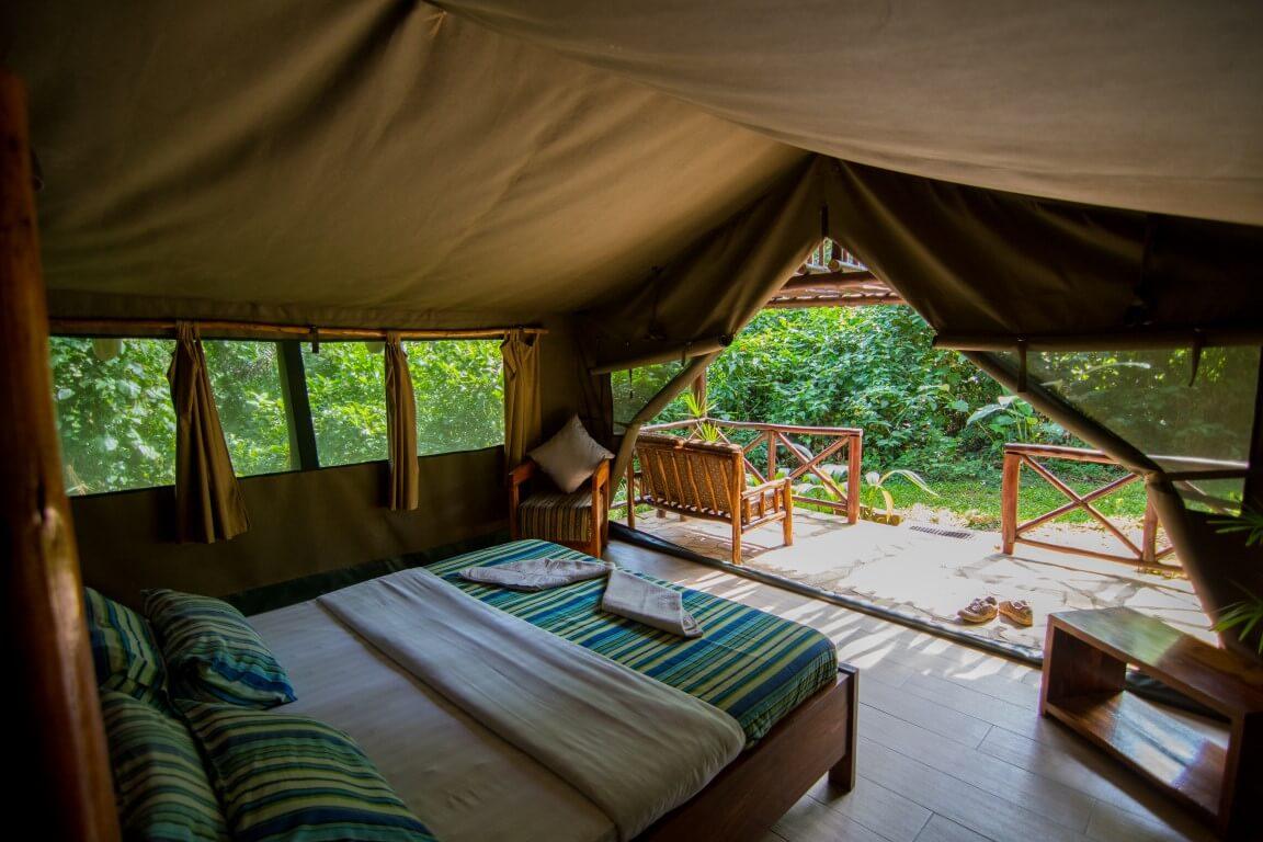 Kibale Forest Camp - Gallery