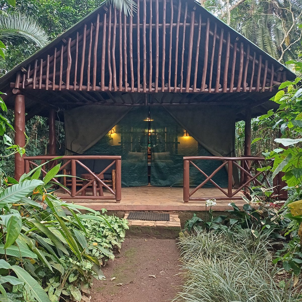 Kibale Forest Camp - Gallery