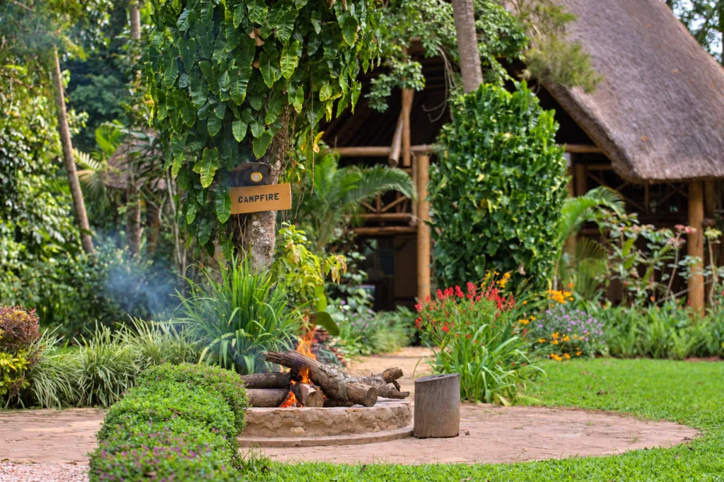 Kibale Forest Camp - Gallery