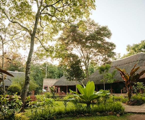 Primate Lodge Kibale safari lodge