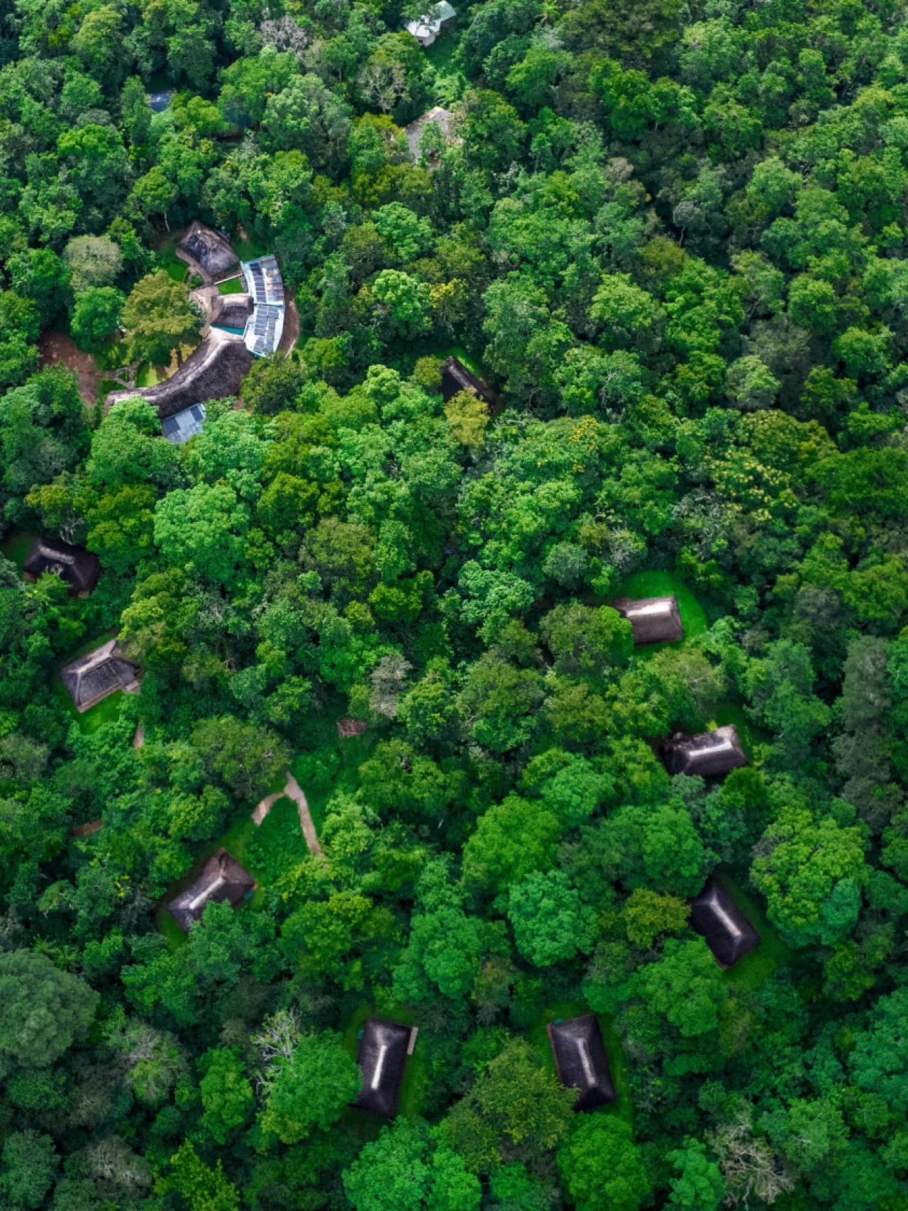 Primate Lodge Kibale - Gallery